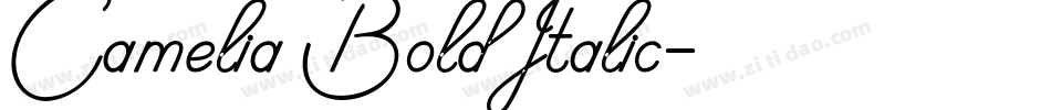 Camelia Bold Italic字体转换